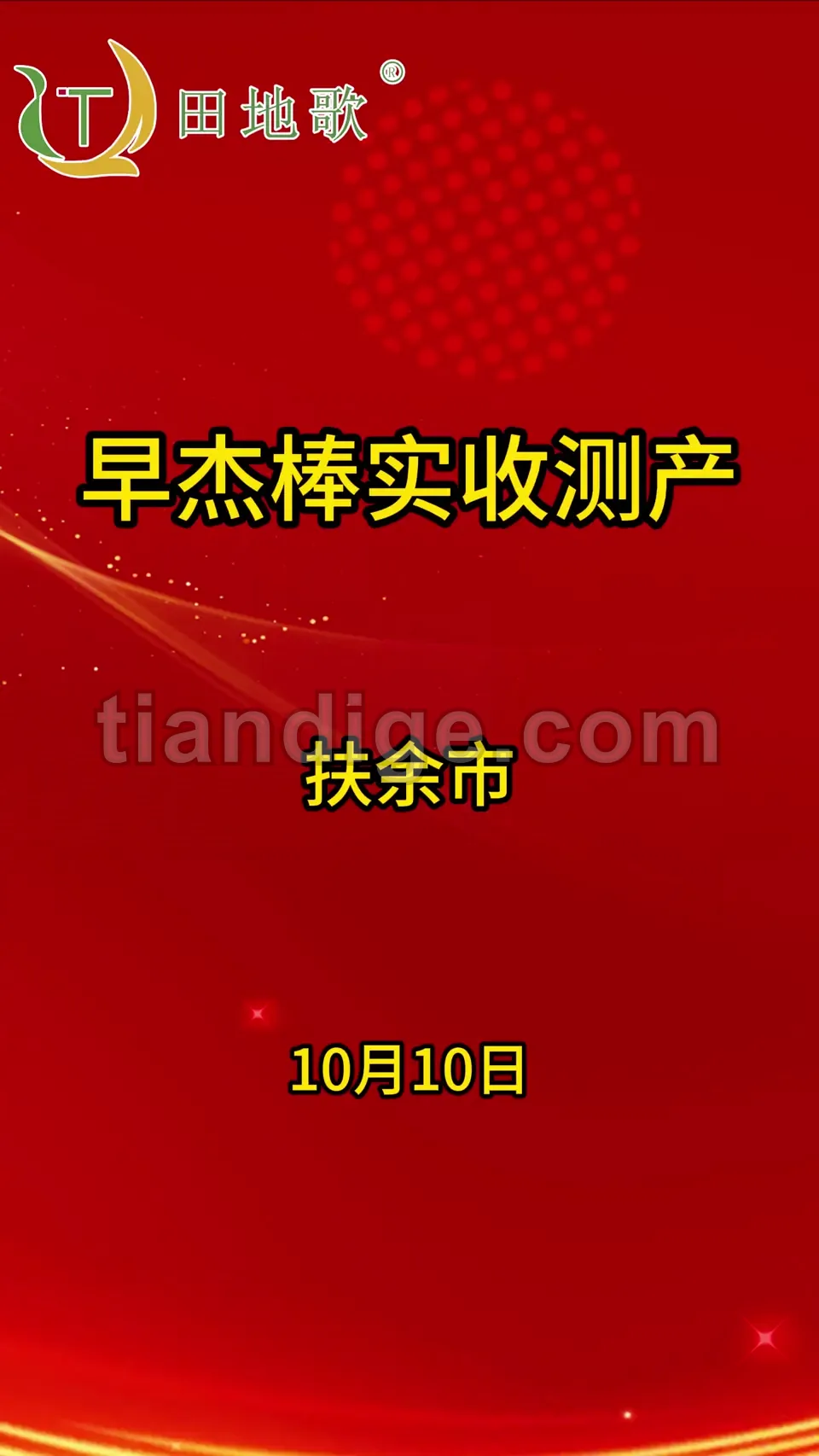 10月14日实收测产 视频封面