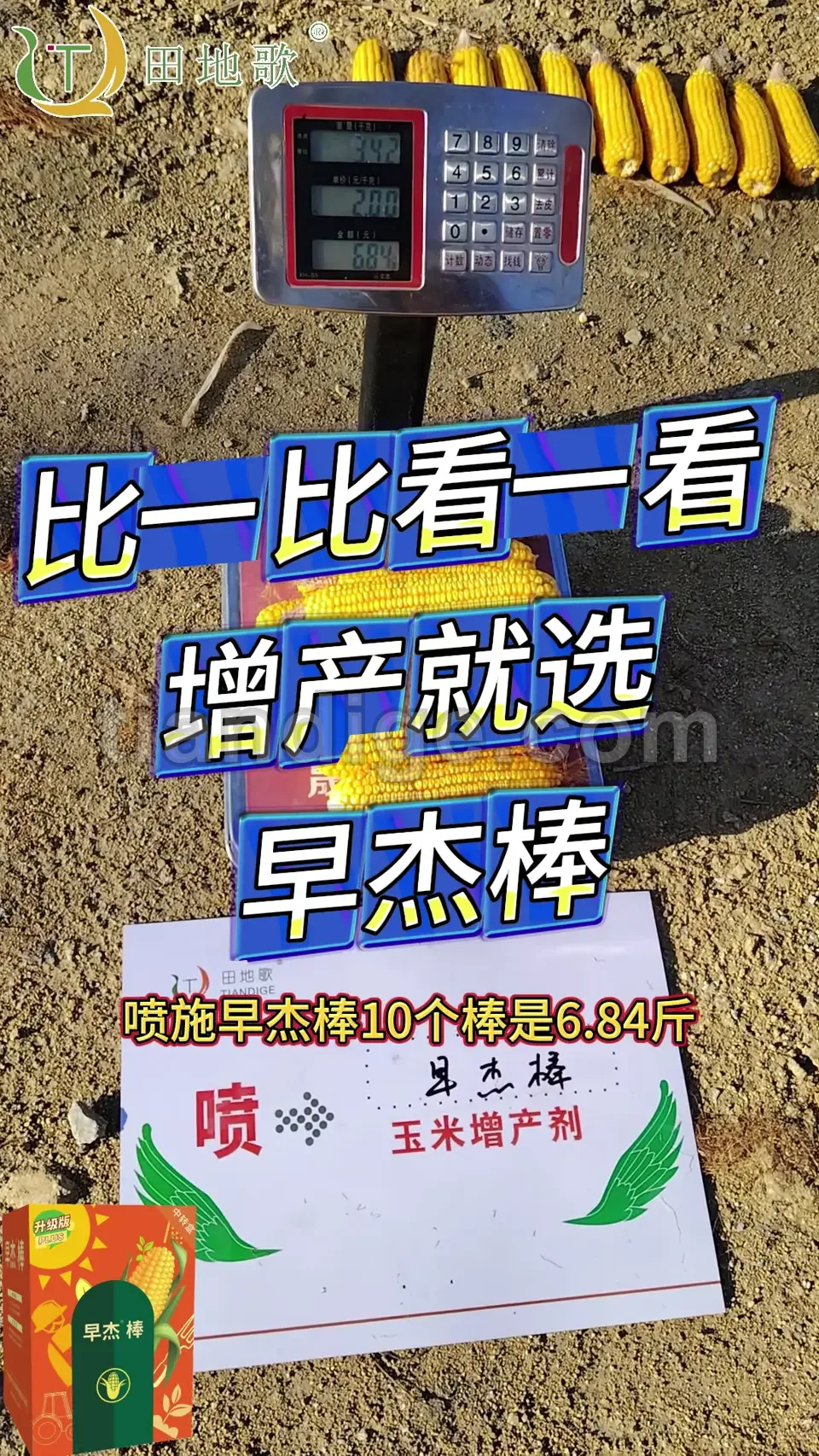 10月8日田间回访 视频封面
