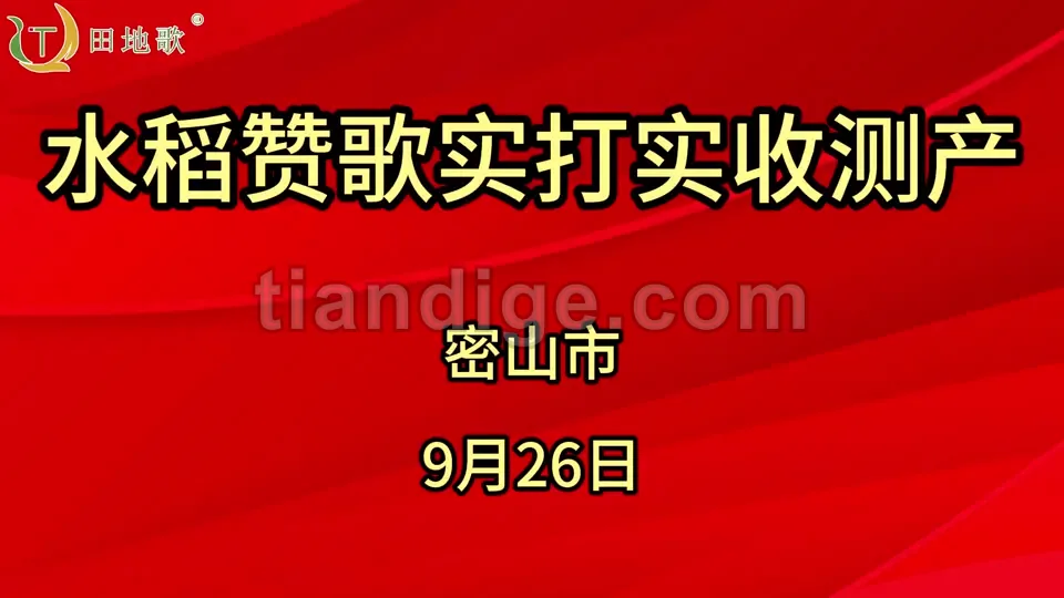 密山市水稻实收测产 视频封面