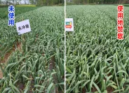 地赞歌控释掺混肥料 图片 2