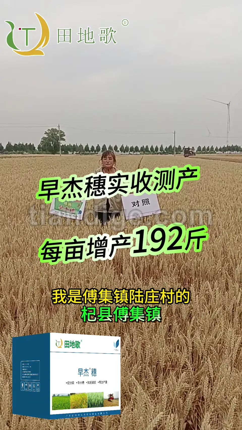 5月31日实收测产 (增192斤) 视频封面