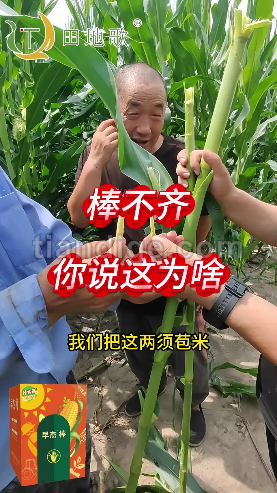8月5日前期抗逆 视频封面