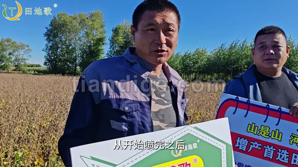 9月18日鼓粒期表现 视频封面