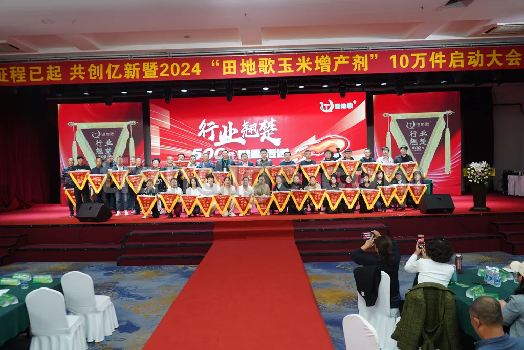 公司活动 3