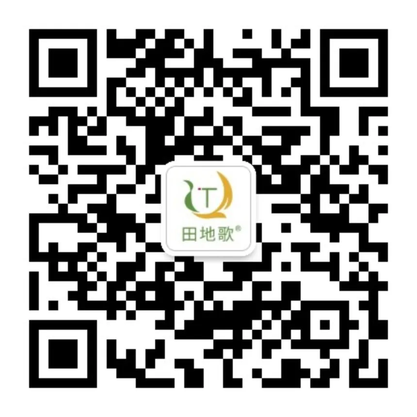 微信公众号