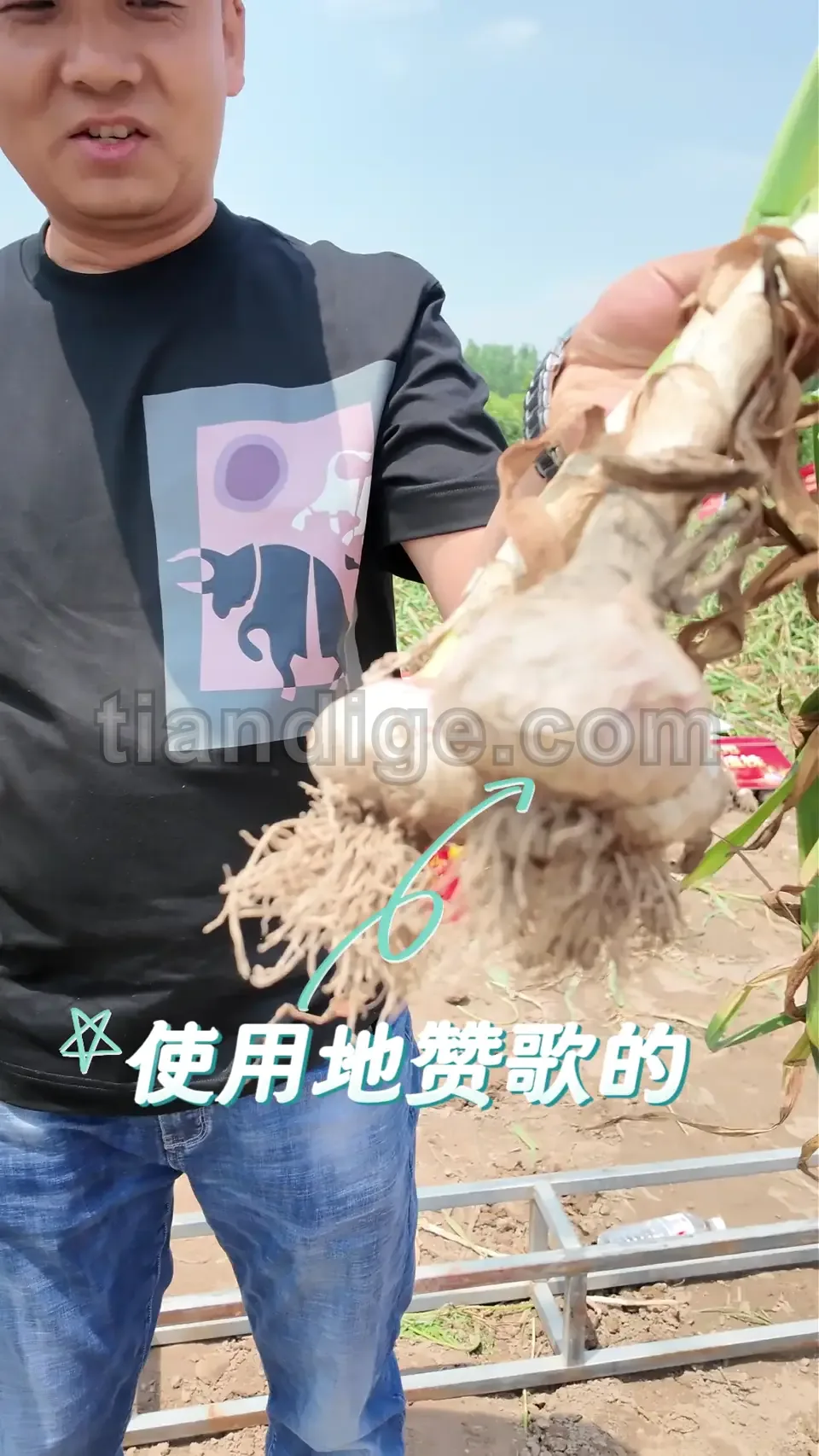 地赞歌微生物菌剂聚谷氨酸案例1 视频封面