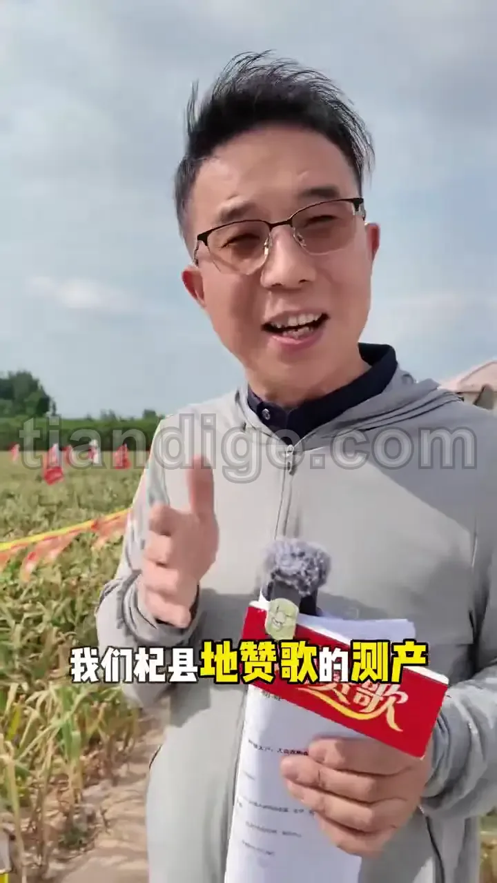 地赞歌微生物菌剂聚谷氨酸案例3 视频封面