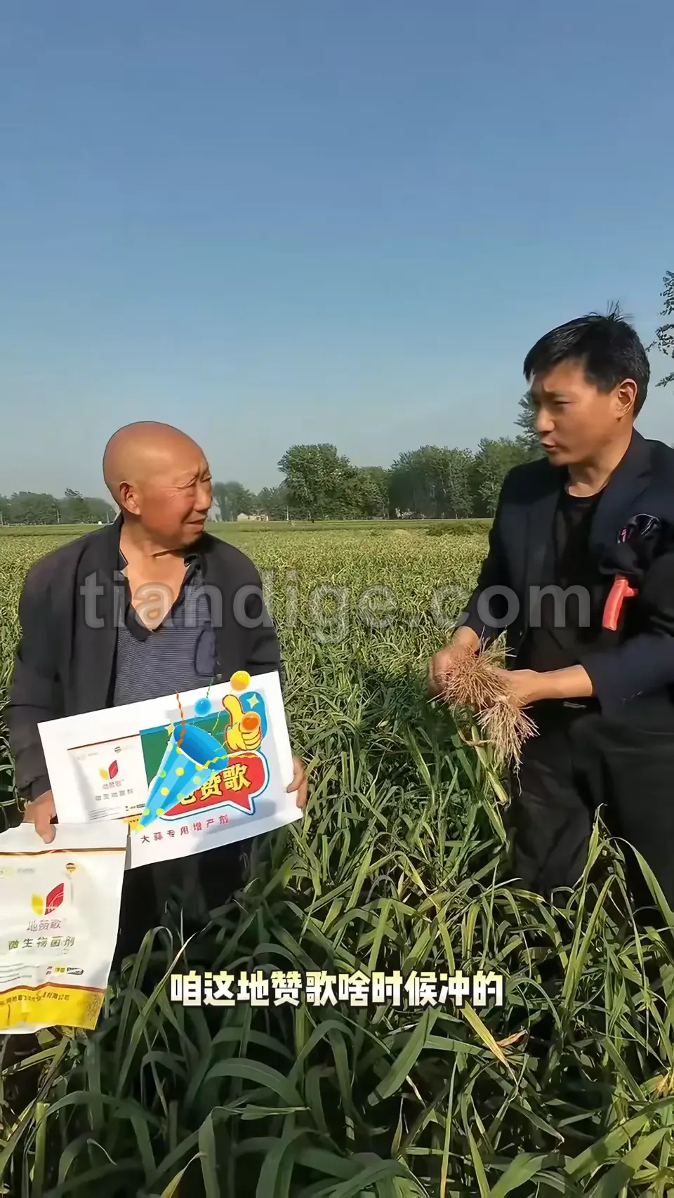 地赞歌控释掺混肥料案例2 视频封面