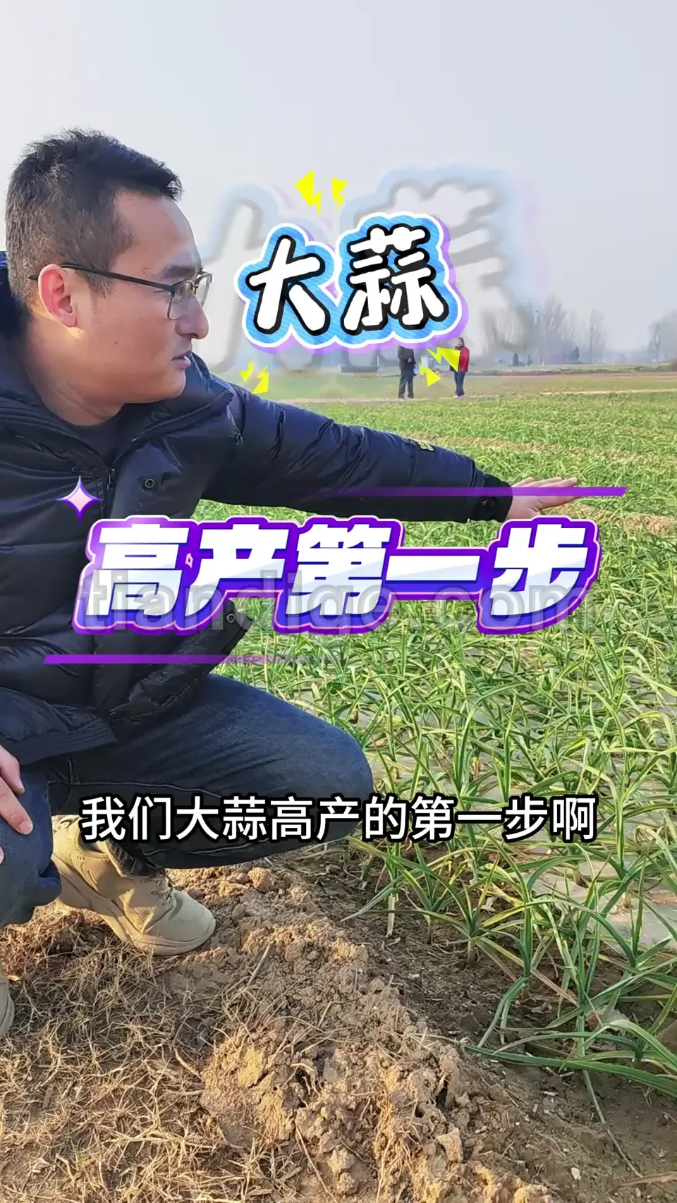 地赞歌控释掺混肥料案例3 视频封面