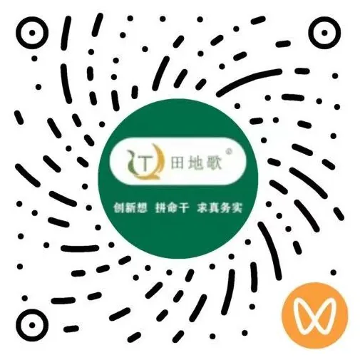 视频号